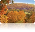Fall Packages