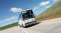 Tour Operator Packages