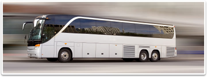 Tour Operators
