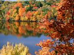Fall In Branson