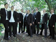 Twelve Irish Tenors